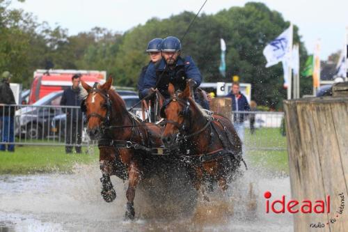 KNHS Marathon bij De Hietmaat in Hengelo | zondag - deel 1 (06-10-2024)