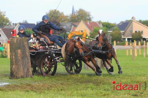 KNHS Marathon bij De Hietmaat in Hengelo | zondag - deel 1 (06-10-2024)