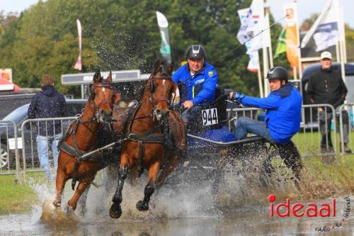 KNHS Marathon bij De Hietmaat in Hengelo | zondag - deel 1 (06-10-2024)