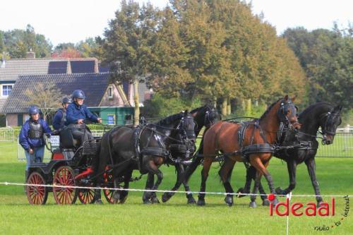 KNHS Marathon bij De Hietmaat in Hengelo | zondag - deel 2 (06-10-2024)