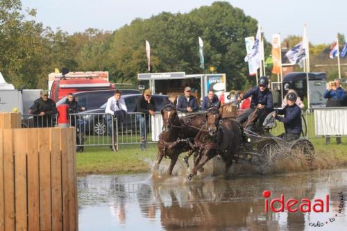 KNHS Marathon bij De Hietmaat in Hengelo | zondag - deel 1 (06-10-2024)