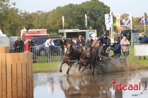 KNHS Marathon bij De Hietmaat in Hengelo | zondag - deel 1 (06-10-2024)