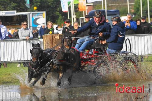 KNHS Marathon bij De Hietmaat in Hengelo | zondag - deel 2 (06-10-2024)