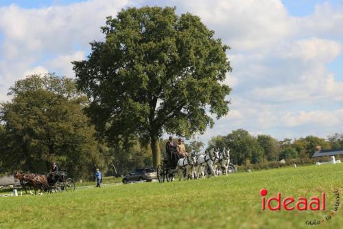 KNHS Dressuur bij De Hietmaat - deel 3 (05-10-2024)