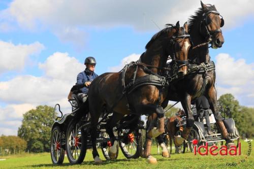 KNHS Dressuur bij De Hietmaat - deel 3 (05-10-2024)