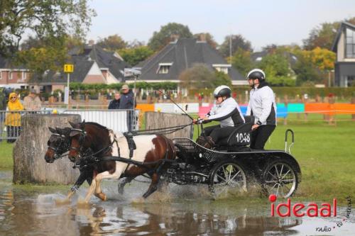 KNHS Marathon bij De Hietmaat in Hengelo | zondag - deel 1 (06-10-2024)