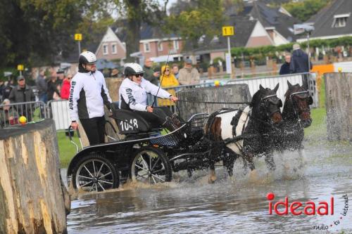 KNHS Marathon bij De Hietmaat in Hengelo | zondag - deel 1 (06-10-2024)