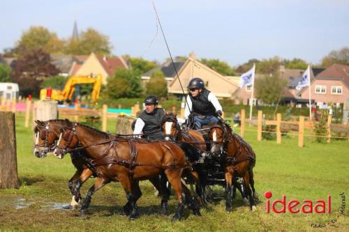 KNHS Marathon bij De Hietmaat in Hengelo | zondag - deel 2 (06-10-2024)