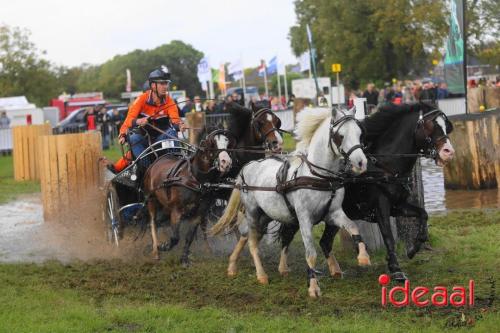 KNHS Marathon bij De Hietmaat in Hengelo | zondag - deel 2 (06-10-2024)