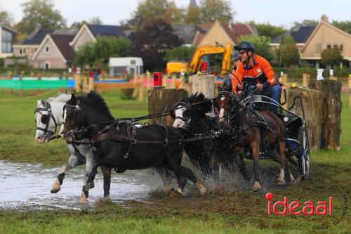 KNHS Marathon bij De Hietmaat in Hengelo | zondag - deel 2 (06-10-2024)