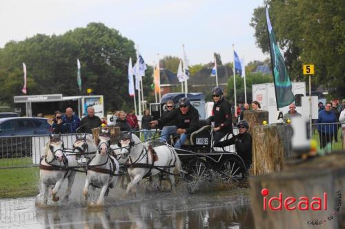 KNHS Marathon bij De Hietmaat in Hengelo | zondag - deel 2 (06-10-2024)