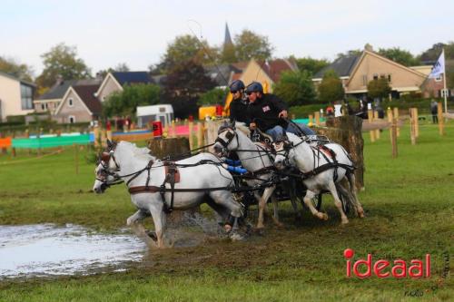 KNHS Marathon bij De Hietmaat in Hengelo | zondag - deel 2 (06-10-2024)