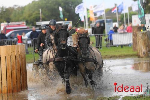 KNHS Marathon bij De Hietmaat in Hengelo | zondag - deel 2 (06-10-2024)