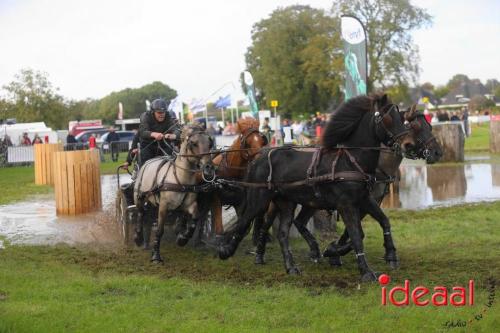 KNHS Marathon bij De Hietmaat in Hengelo | zondag - deel 2 (06-10-2024)