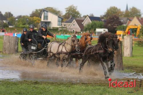 KNHS Marathon bij De Hietmaat in Hengelo | zondag - deel 2 (06-10-2024)