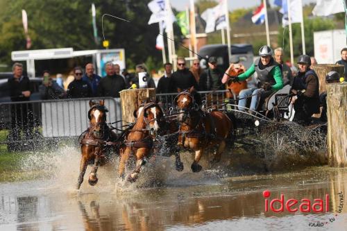 KNHS Marathon bij De Hietmaat in Hengelo | zondag - deel 2 (06-10-2024)