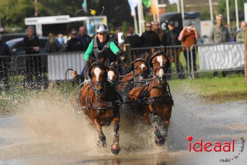 KNHS Marathon bij De Hietmaat in Hengelo | zondag - deel 2 (06-10-2024)