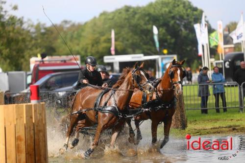 KNHS Marathon bij De Hietmaat in Hengelo | zondag - deel 2 (06-10-2024)