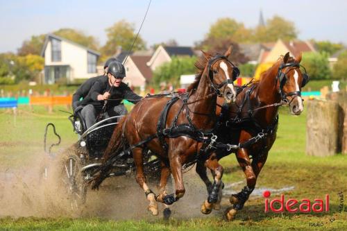 KNHS Marathon bij De Hietmaat in Hengelo - deel 2 (06-10-2024)