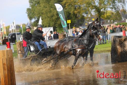 KNHS Marathon bij De Hietmaat in Hengelo | zondag - deel 2 (06-10-2024)