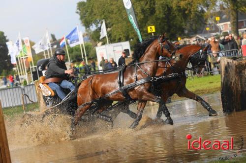 KNHS Marathon bij De Hietmaat in Hengelo | zondag - deel 2 (06-10-2024)