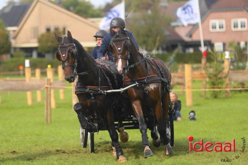 KNHS Marathon bij De Hietmaat in Hengelo - deel 3 (06-10-2024)