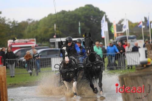 KNHS Marathon bij De Hietmaat in Hengelo | zondag - deel 3 (06-10-2024)