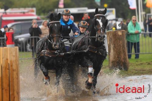 KNHS Marathon bij De Hietmaat in Hengelo | zondag - deel 3 (06-10-2024)