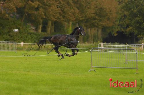 KNHS Marathon bij De Hietmaat in Hengelo | zondag - deel 3 (06-10-2024)