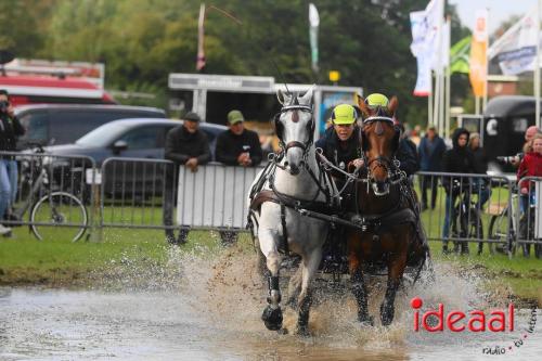 KNHS Marathon bij De Hietmaat in Hengelo | zondag - deel 3 (06-10-2024)