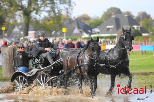 KNHS Marathon bij De Hietmaat in Hengelo | zondag - deel 3 (06-10-2024)