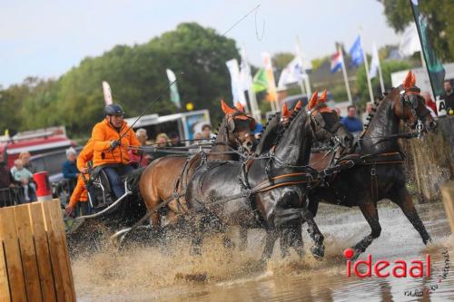 KNHS Marathon bij De Hietmaat in Hengelo | zondag - deel 3 (06-10-2024)