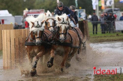 KNHS Marathon bij De Hietmaat in Hengelo | zondag - deel 3 (06-10-2024)