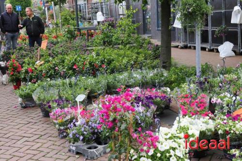 Voorjaarsfair Borculo - deel 1 (05-05-2024)