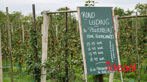 Eerste Ciderfestival in Rha (16-08-2025)