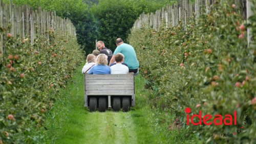 Eerste Ciderfestival in Rha (16-08-2025)