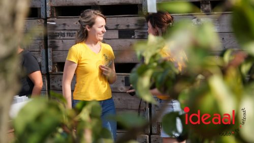 Eerste Ciderfestival in Rha (16-08-2025)