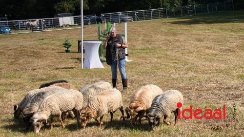 British Weekend in Vorden (06-09-2025)