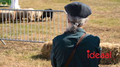 British Weekend in Vorden (06-09-2025)