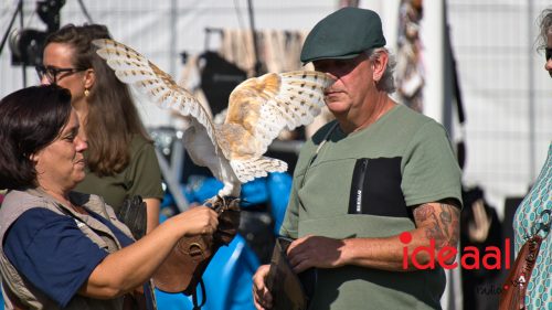 British Weekend in Vorden (06-09-2025)