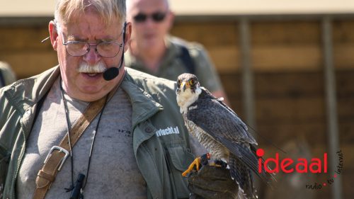 British Weekend in Vorden (06-09-2025)