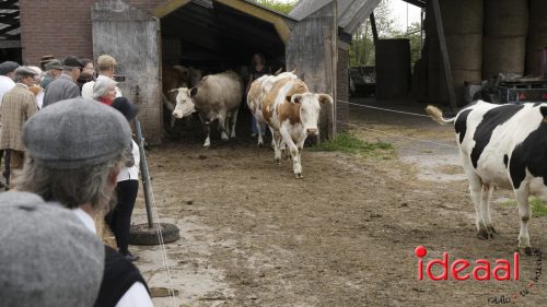 3e editie Rolling Tweed - deel 2 (15-06-2025)