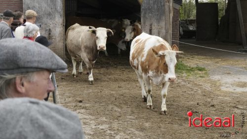 3e editie Rolling Tweed - deel 2 (15-06-2025)