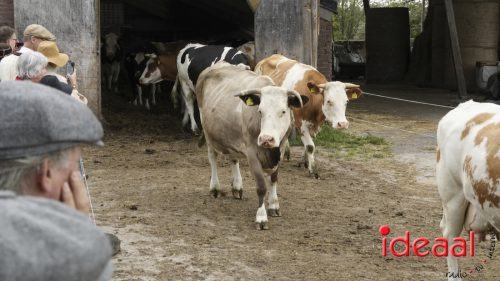 3e editie Rolling Tweed - deel 2 (15-06-2025)