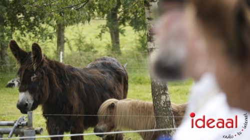 3e editie Rolling Tweed - deel 3 (15-06-2025)