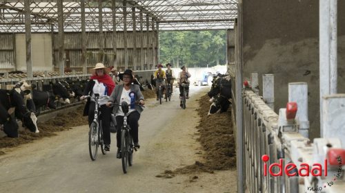 3e editie Rolling Tweed - deel 3 (15-06-2025)