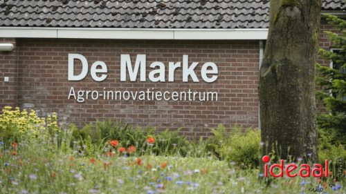 3e editie Rolling Tweed - deel 3 (15-06-2025)