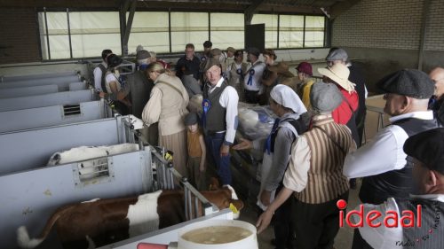 3e editie Rolling Tweed - deel 3 (15-06-2025)