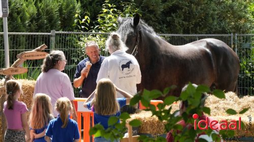 Zelhemse Zomerfeesten - deel 1 (12-07-2025)