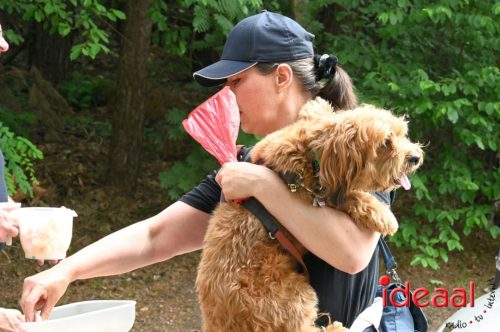 Achterhoekse Wandeldagen - deel 6 (31-05-2025)